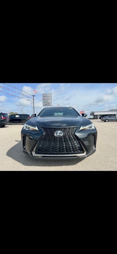 2019 Lexus UX 200 F SPORT