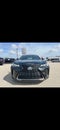 2019 Lexus UX 200 F SPORT